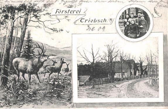 Der Triebschsee in Hartmannsdorf